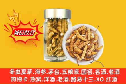 双阳区回收散虫草